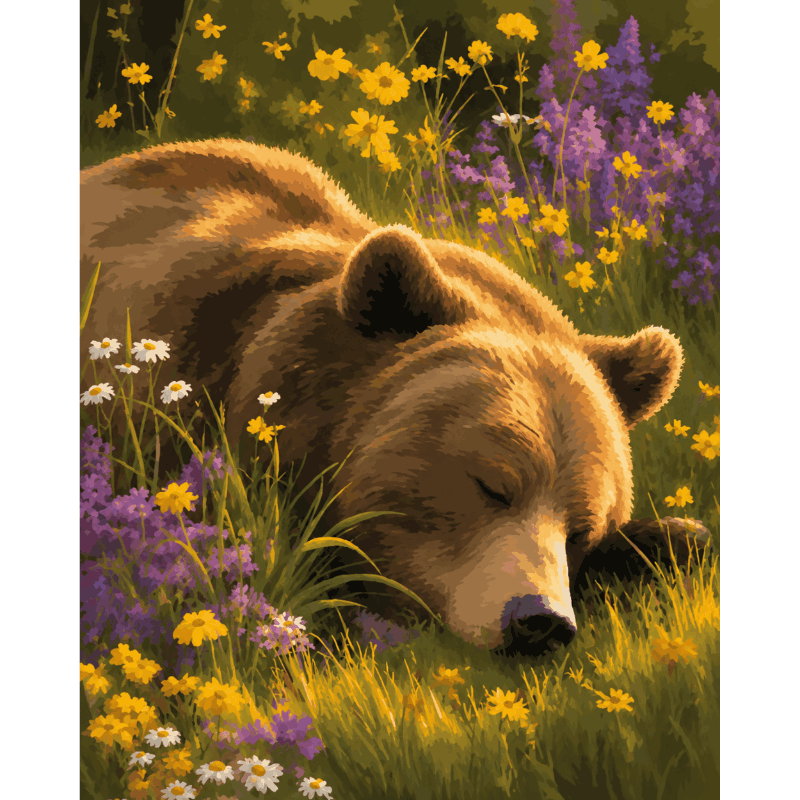 Sleepy Grizzly | Paint by Numbers