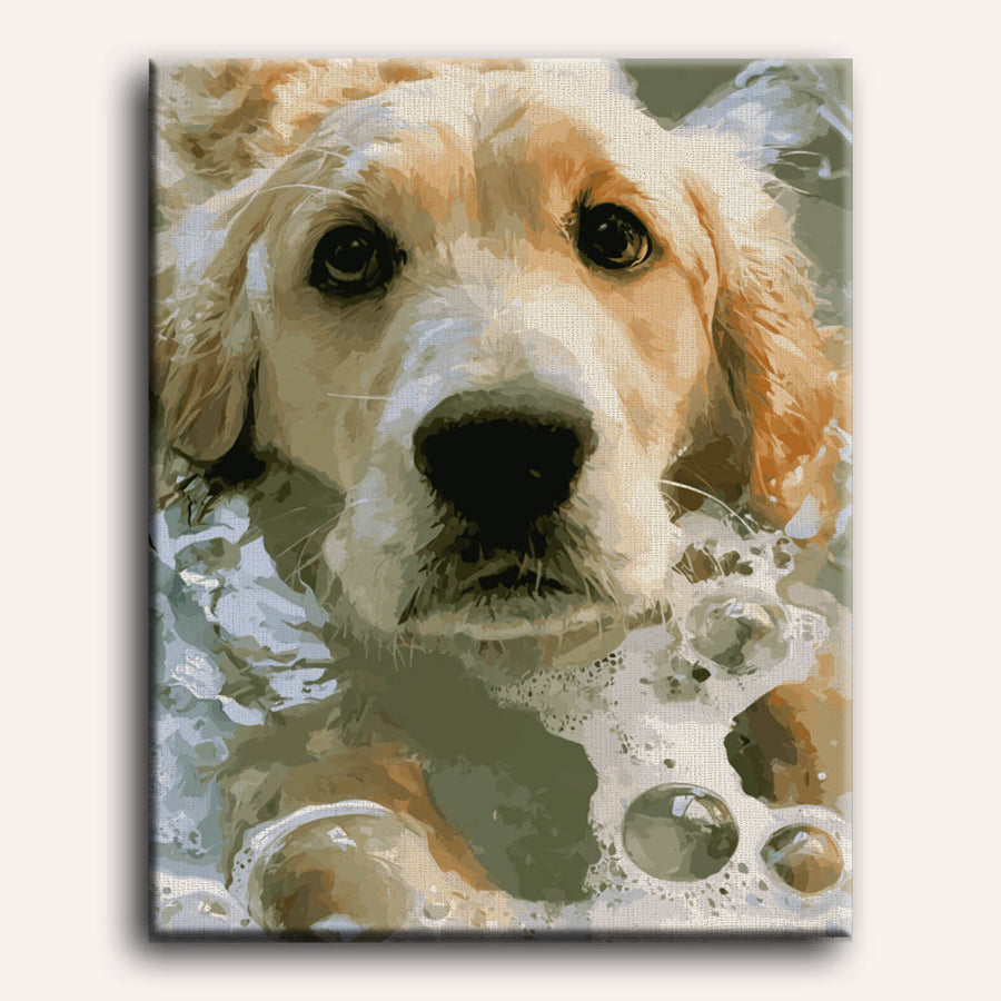 Soapy Retriever | Paint by Numbers