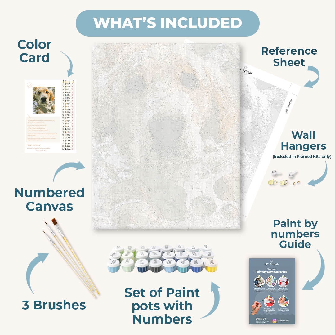 Soapy Retriever | Paint by Numbers