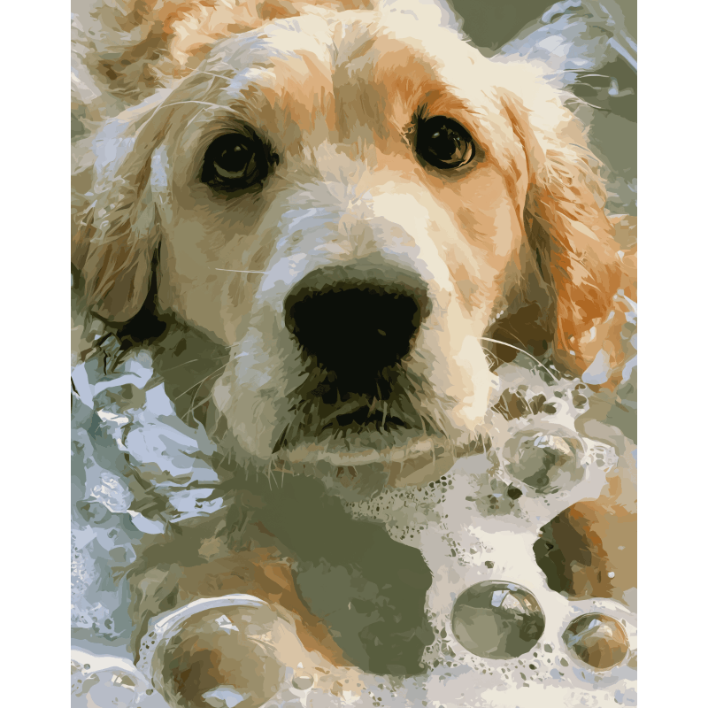Soapy Retriever | Paint by Numbers