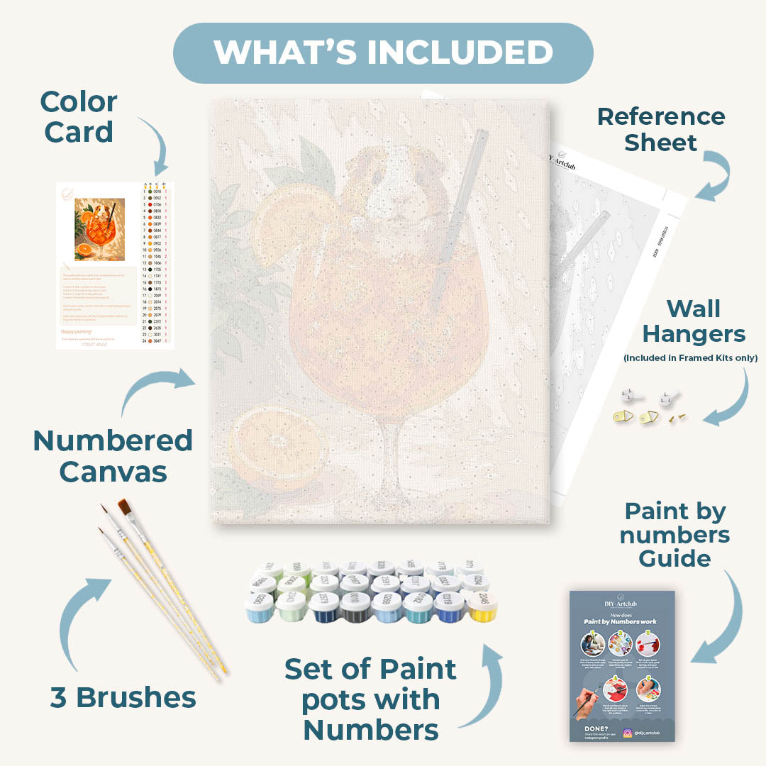 Aperol Whiskers | Paint by Numbers