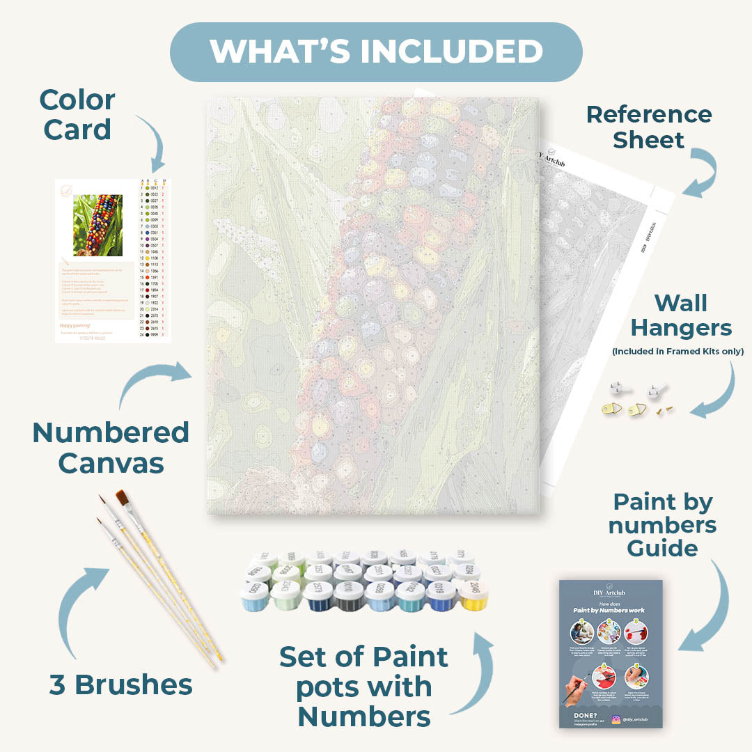 Rainbow Harvest | Paint by Numbers