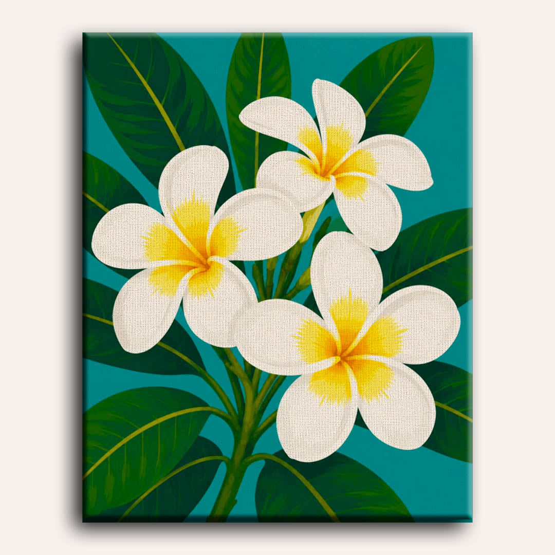 Frangipani Flowers | Paint by Numbers