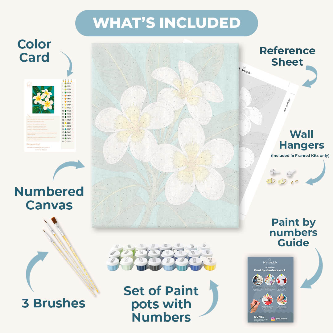 Frangipani Flowers | Paint by Numbers