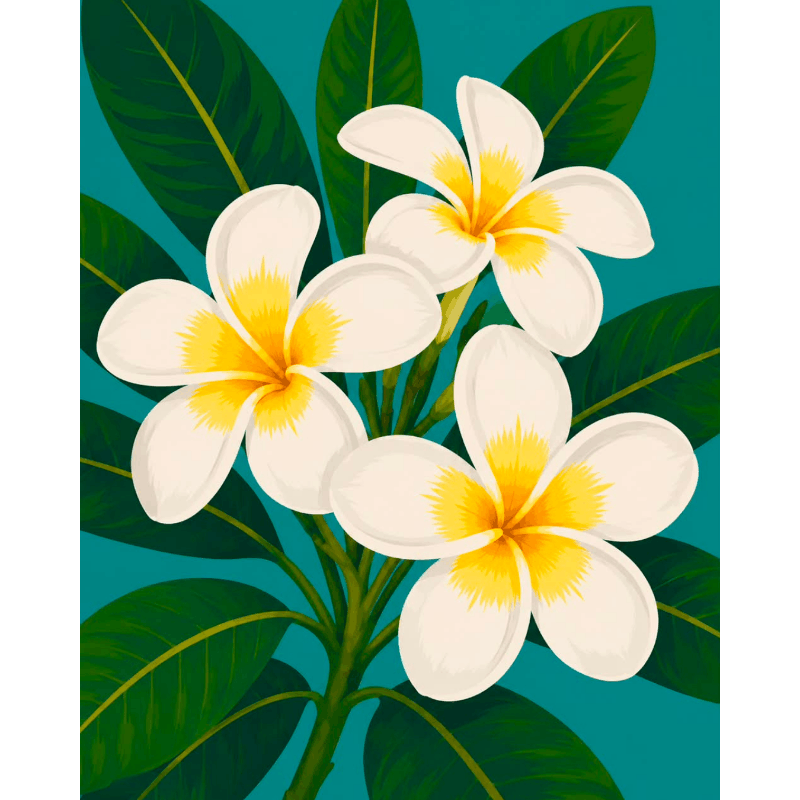 Frangipani Flowers | Paint by Numbers