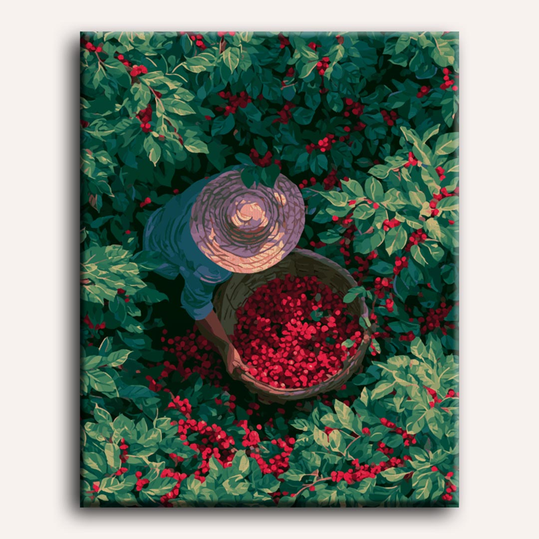 Coffee Harvest | Paint by Numbers