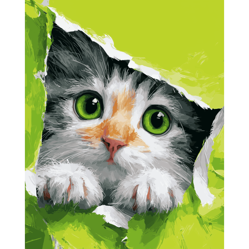 Peeking Kitten | Paint by Numbers