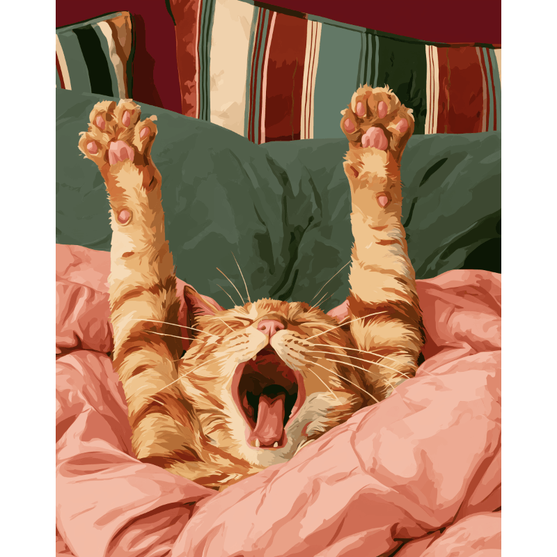 Lazy Mornings | Paint by Numbers