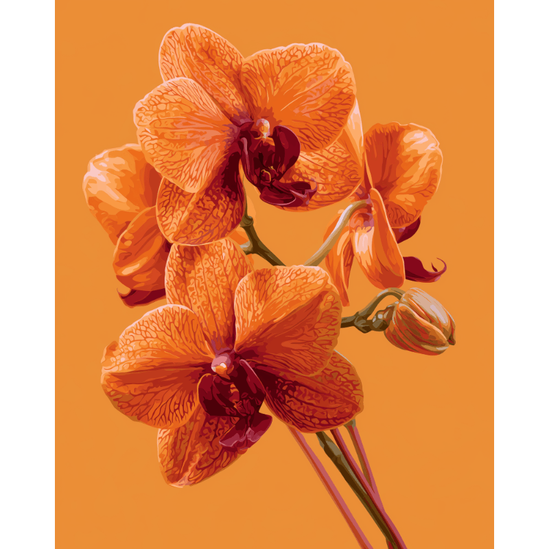 Orchid Glow | Paint by Numbers