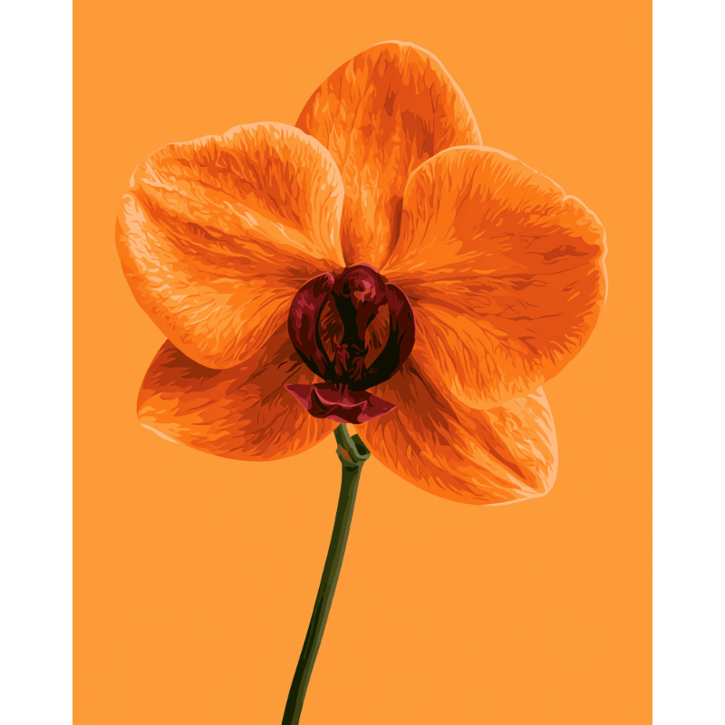 Tangerine Orchid | Paint by Numbers