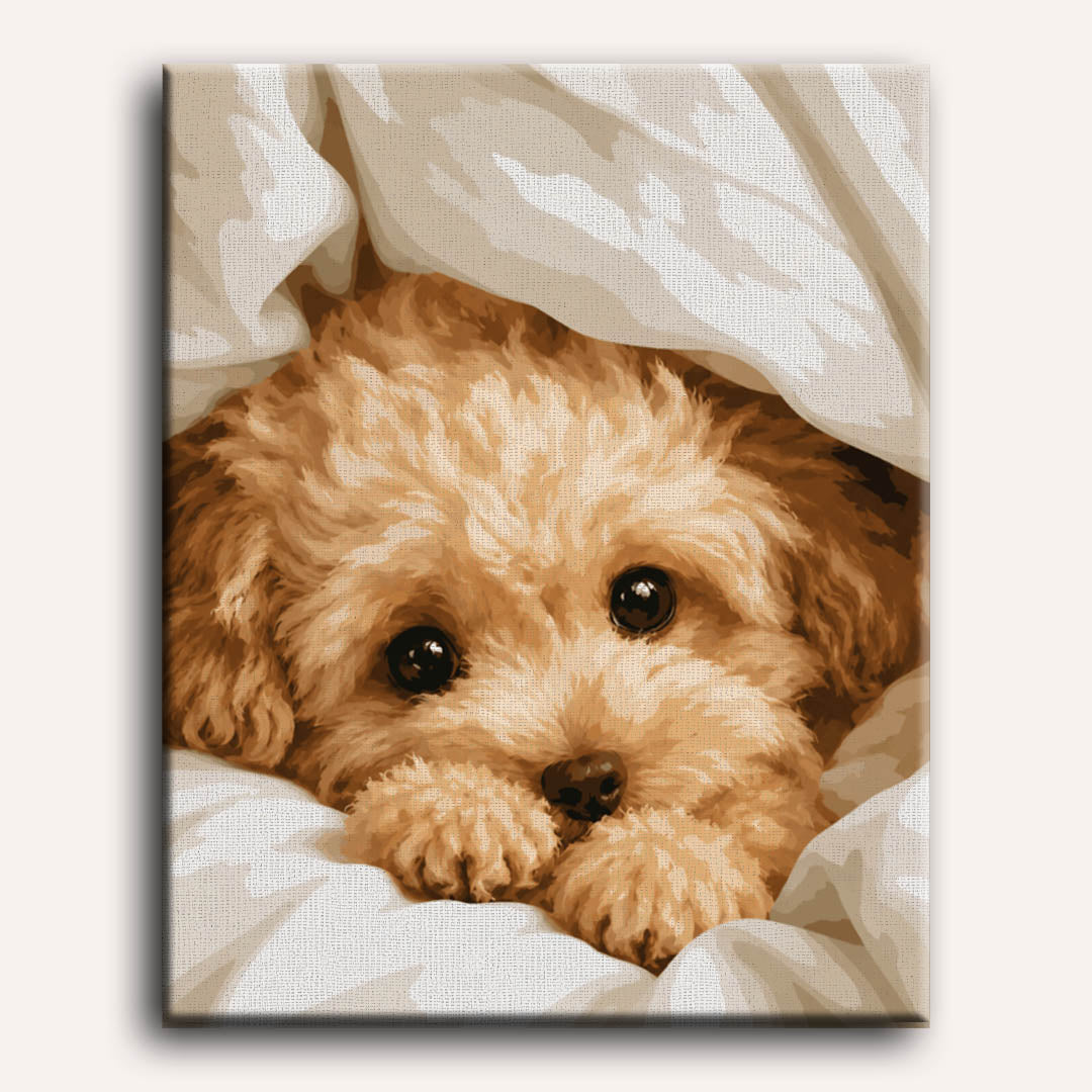 Cozy Paws | Paint by Numbers