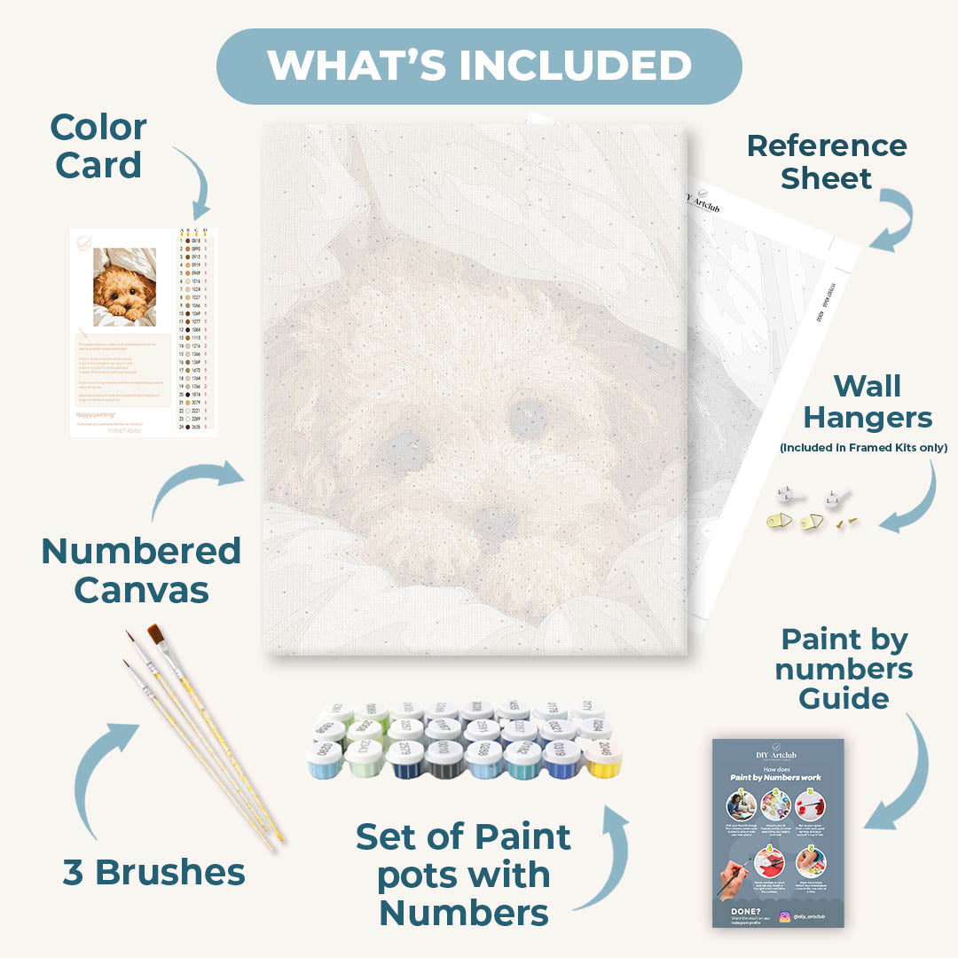 Cozy Paws | Paint by Numbers