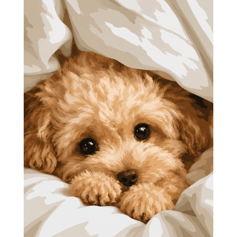 Cozy Paws | Paint by Numbers