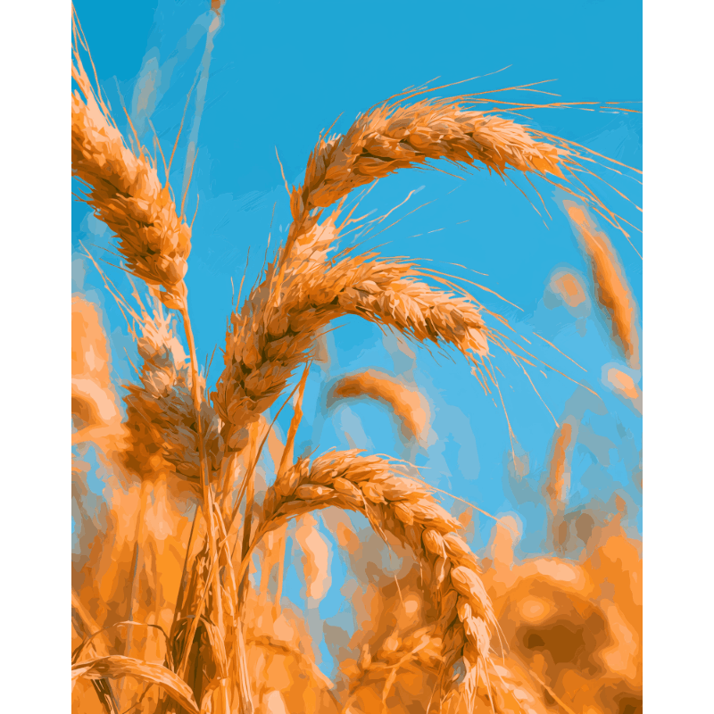 Golden Harvest | Paint by Numbers