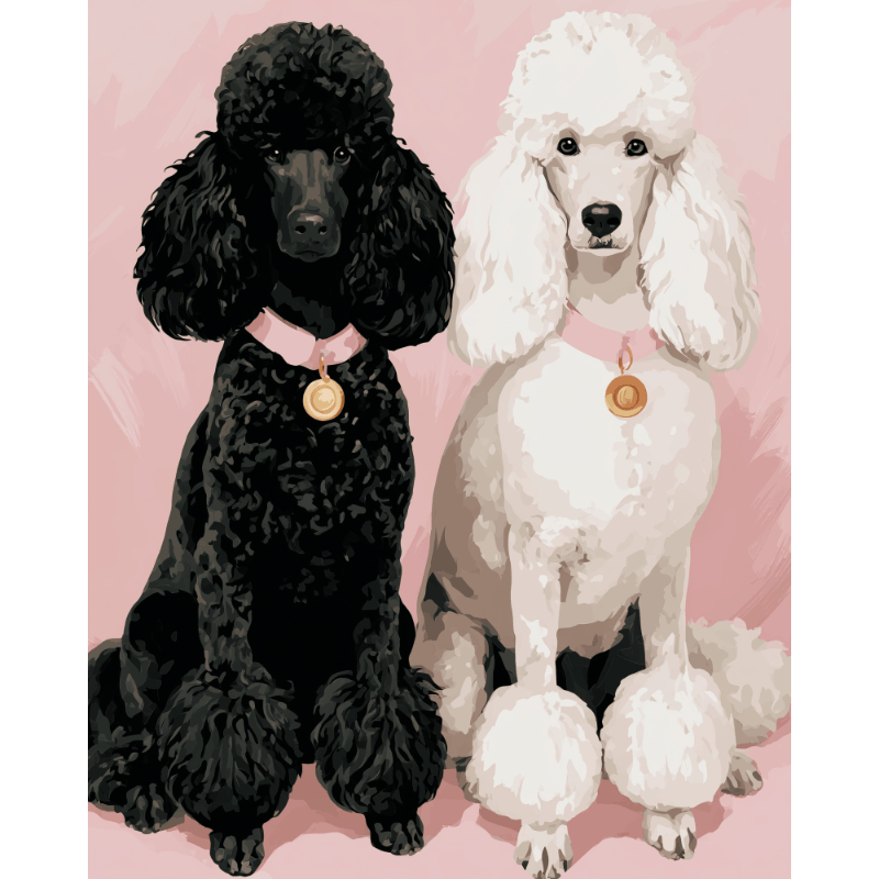 Poodle Prestige | Paint by Numbers
