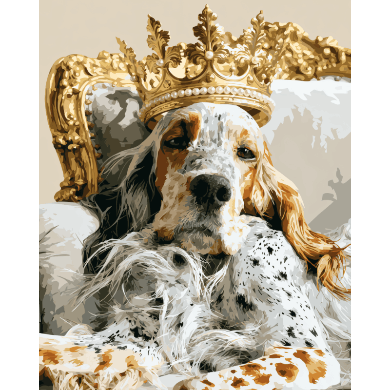 Royal Setter | Paint by Numbers