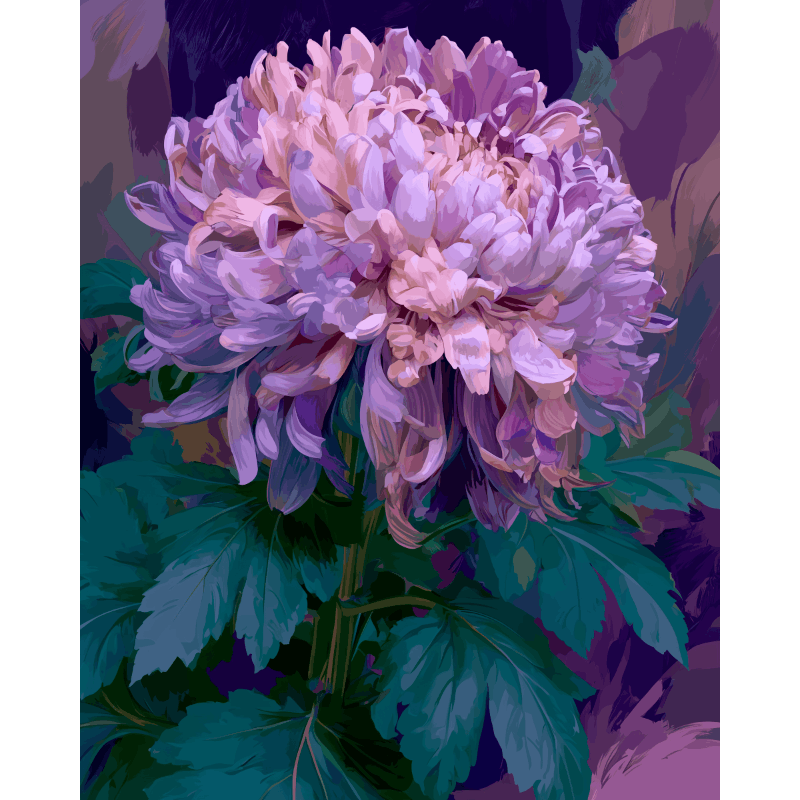 Lavender Chrysanthemum | Paint by Numbers