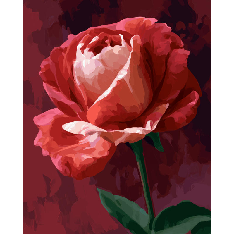 Crimson Rose | Paint by Numbers