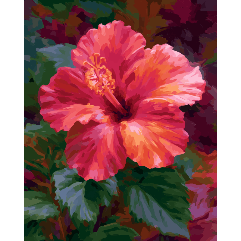 Coral Hibiscus | Paint by Numbers