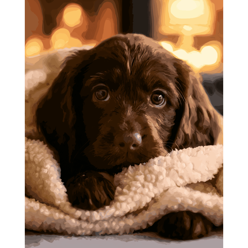 Chocolate Labrador Pup | Paint by Numbers