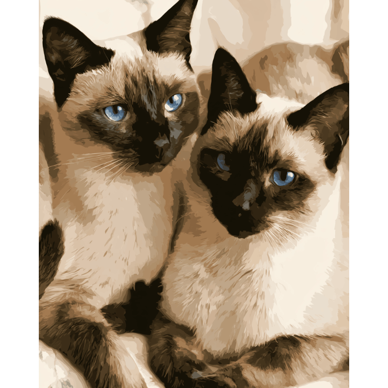 Siamese Companions | Paint by Numbers
