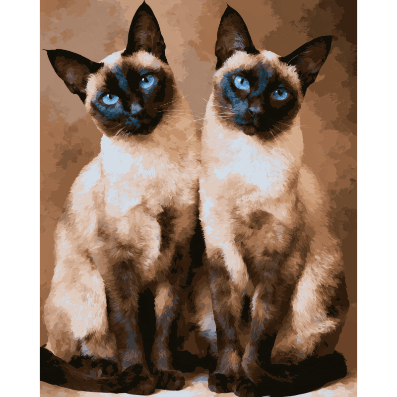 Siamese Duo | Paint by Numbers