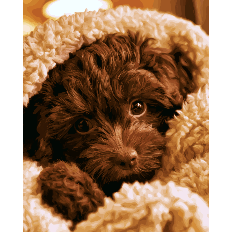 Teddy Bear Pup | Paint by Numbers