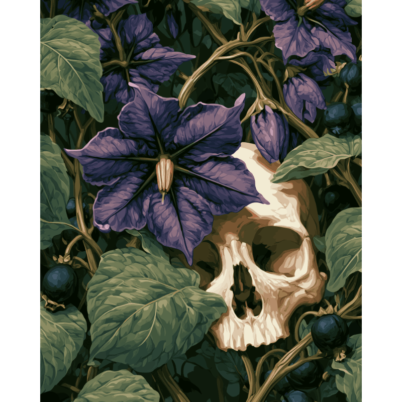Dark Nightshade Flower | Paint by Numbers
