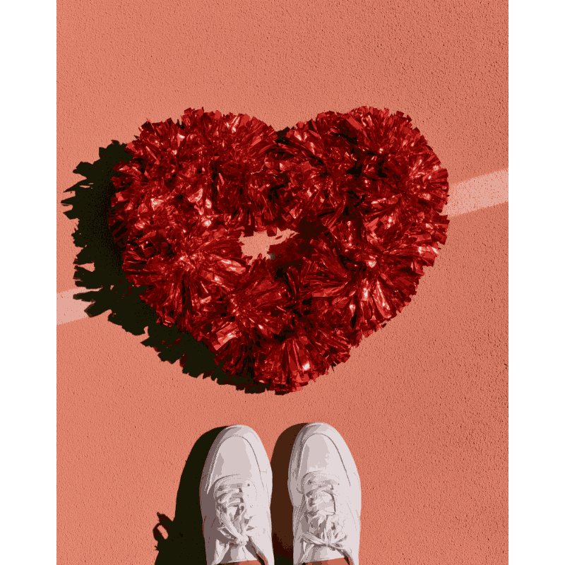 Red Heart Pom-Pom | Paint by Numbers
