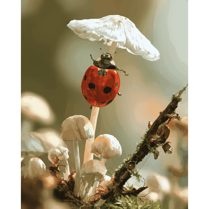 Mushroom Ladybug | Paint by Numbers