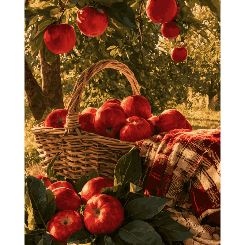 Orchard Apple Basket | Paint by Numbers
