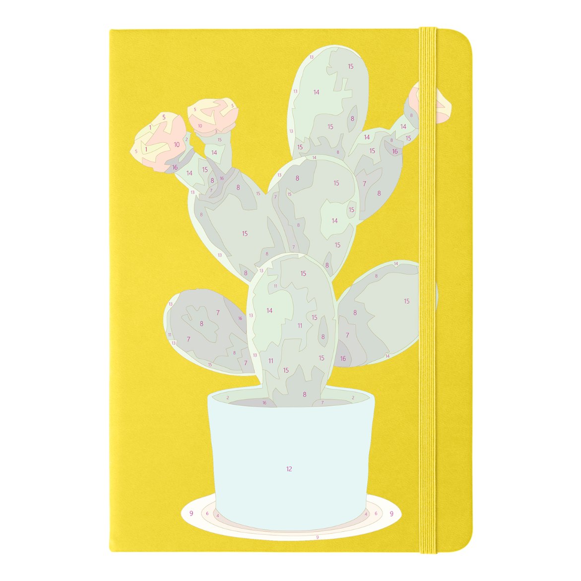 Cactus | Paint by Numbers