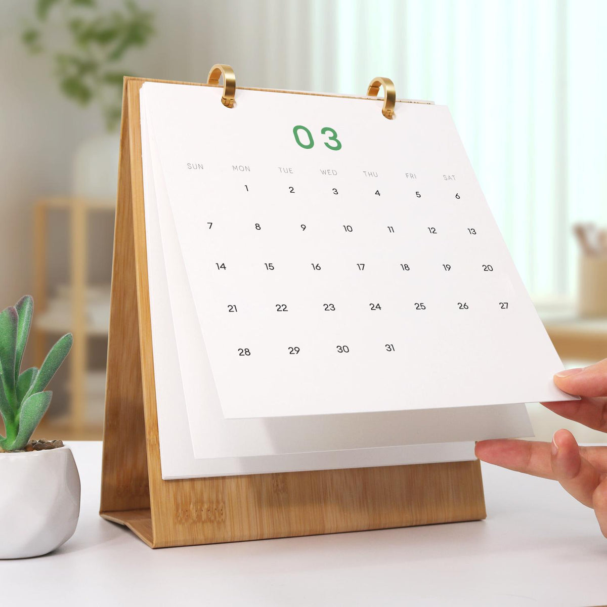 12 Mini Paintings | Plants Calendar Set