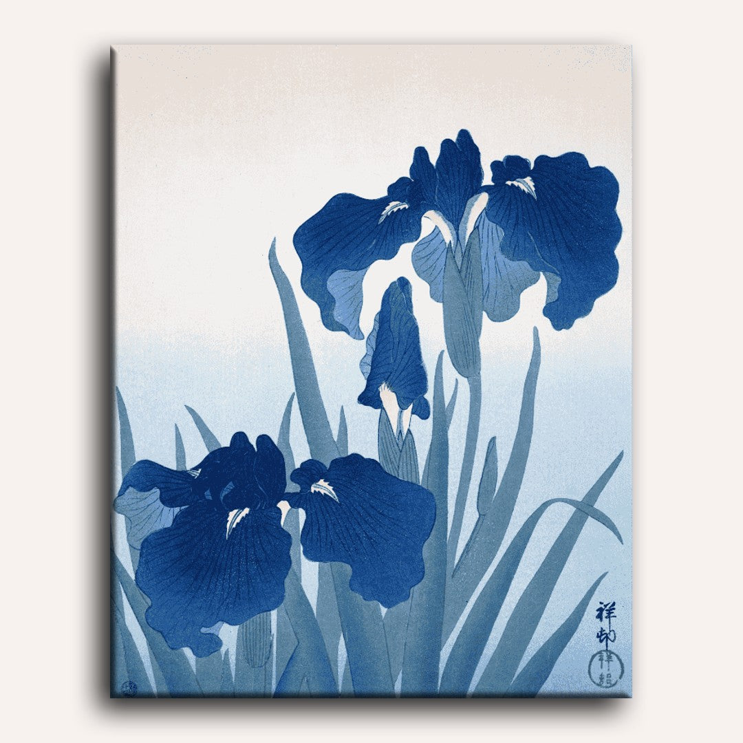 Irises | Paint by Numbers