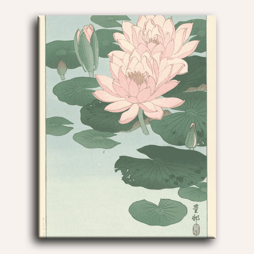 Flowering Water Lily | Paint by Numbers