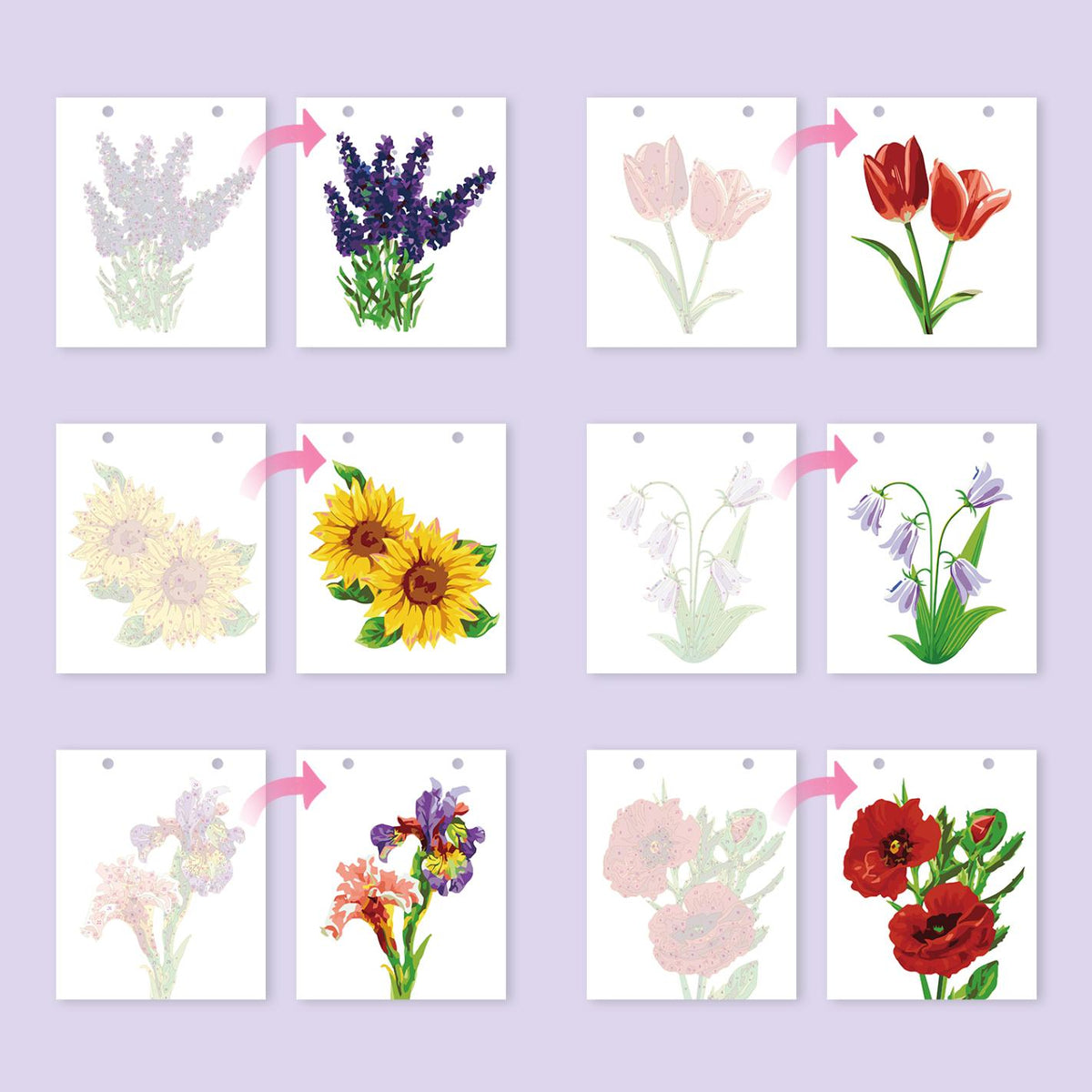 2027 Paint by Numbers Desk Calendar | Flowers Edition