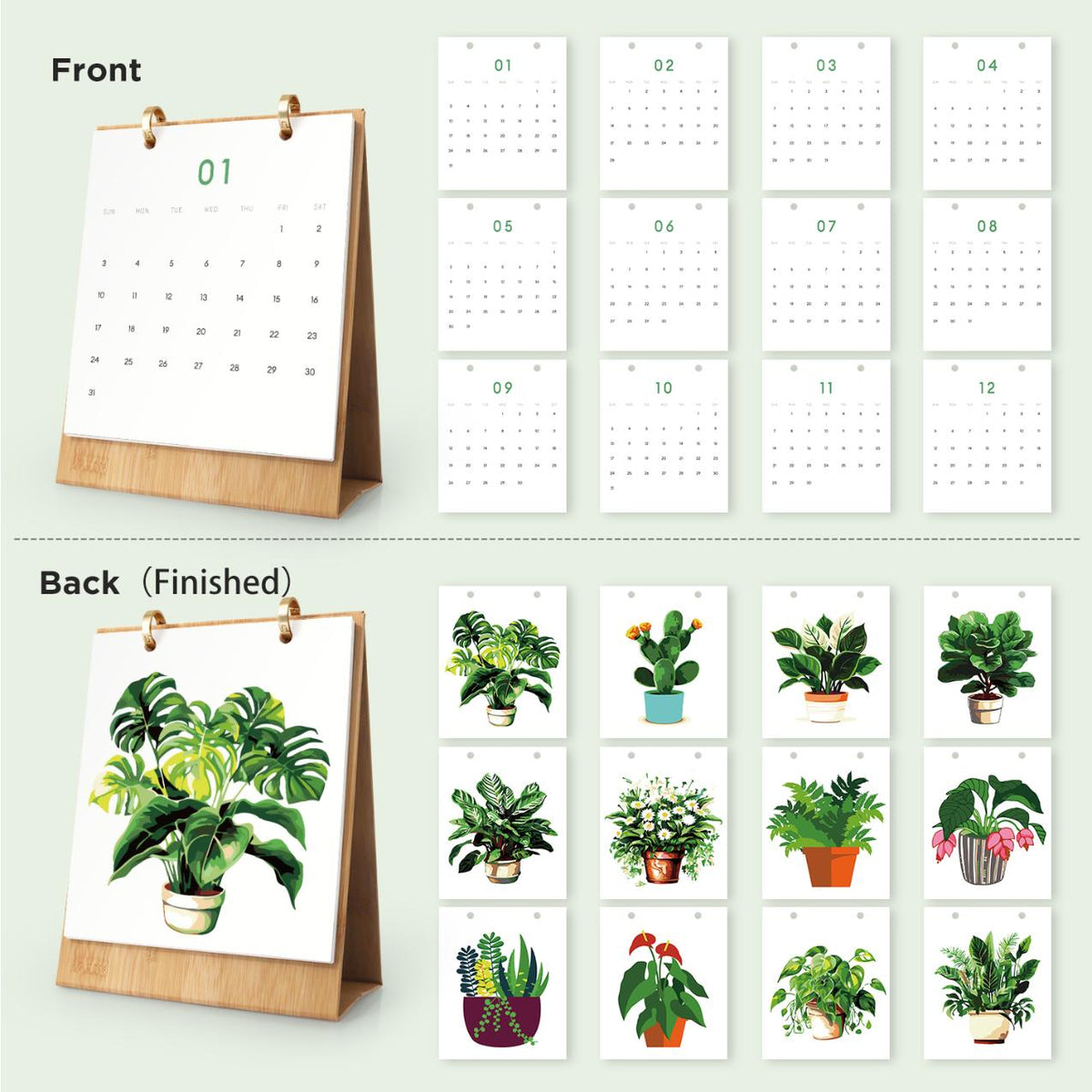 12 Mini Paintings | Plants Calendar Set