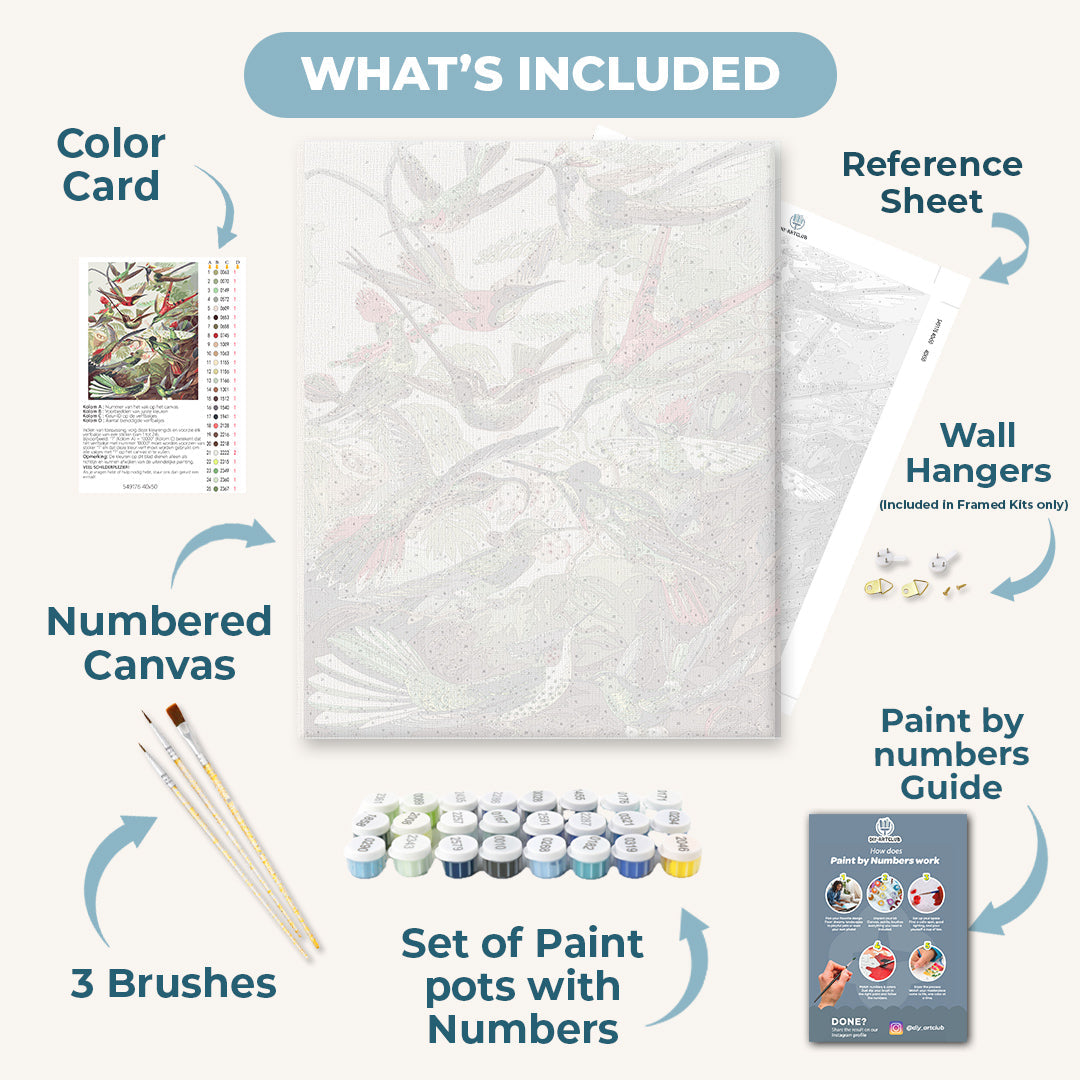 Hummingbirds Trochilidae | Paint by Numbers