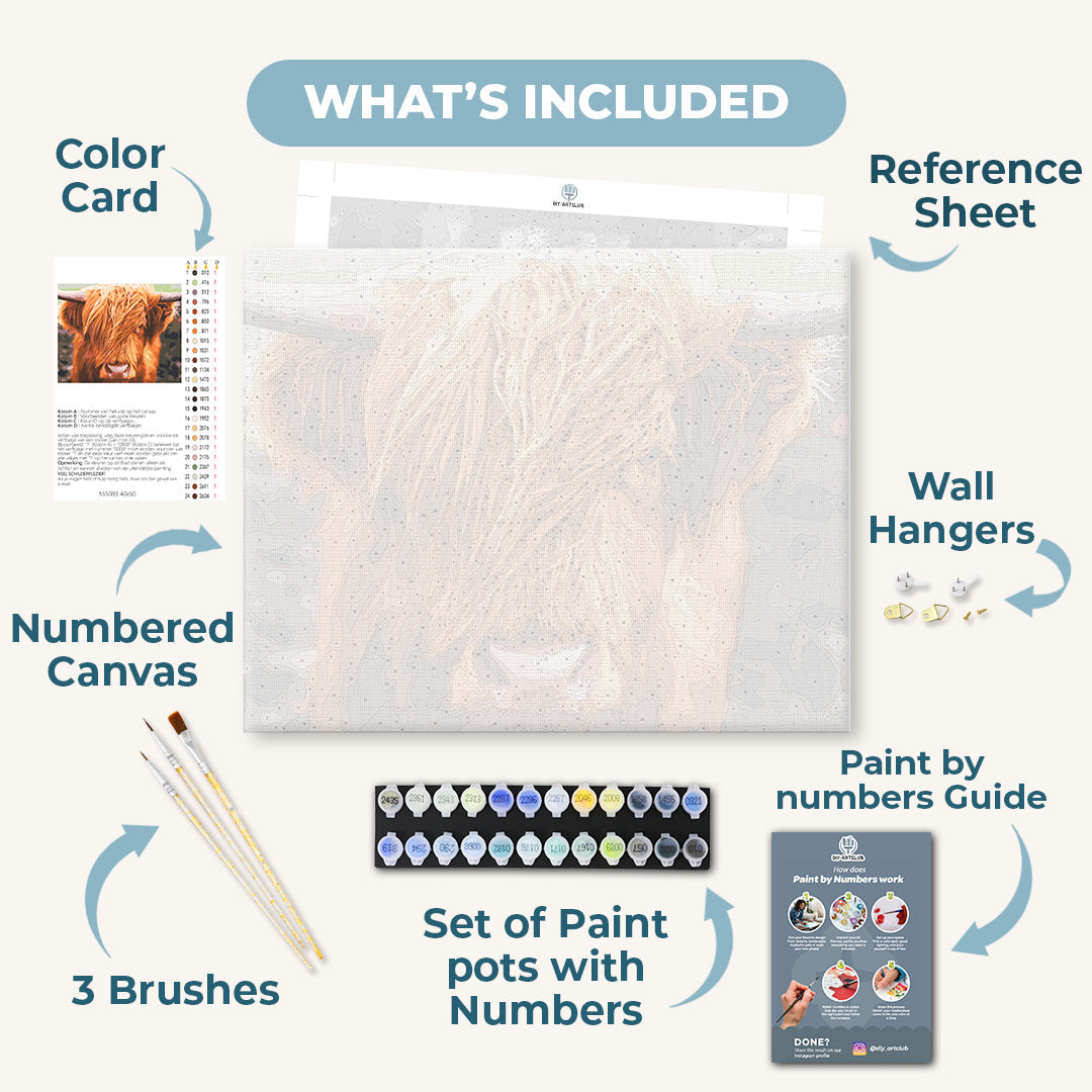 Scottish Highland Cattle | Paint by Numbers