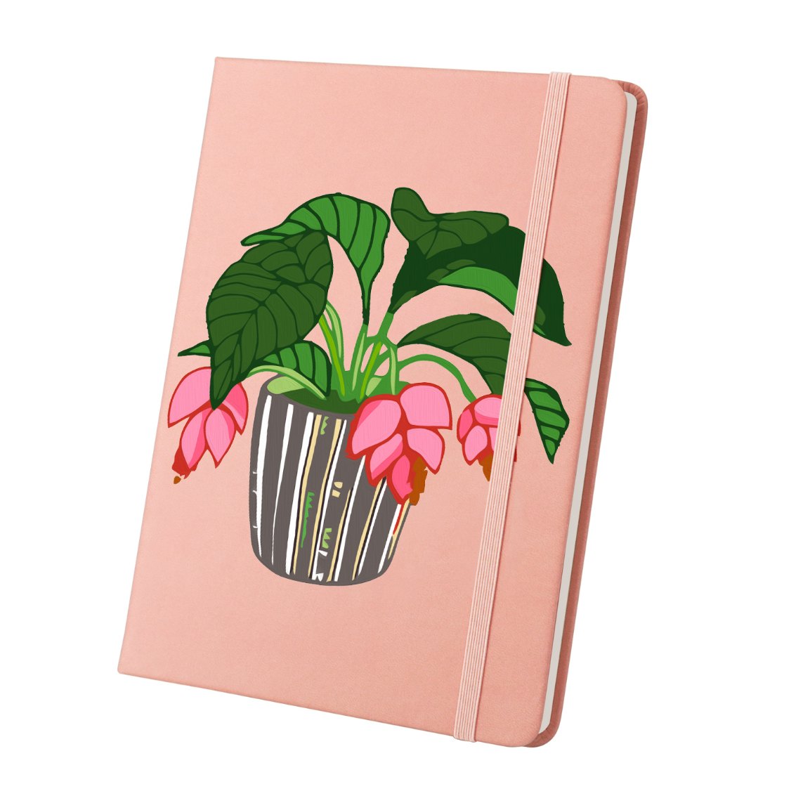 Houseplant | Paint by Numbers