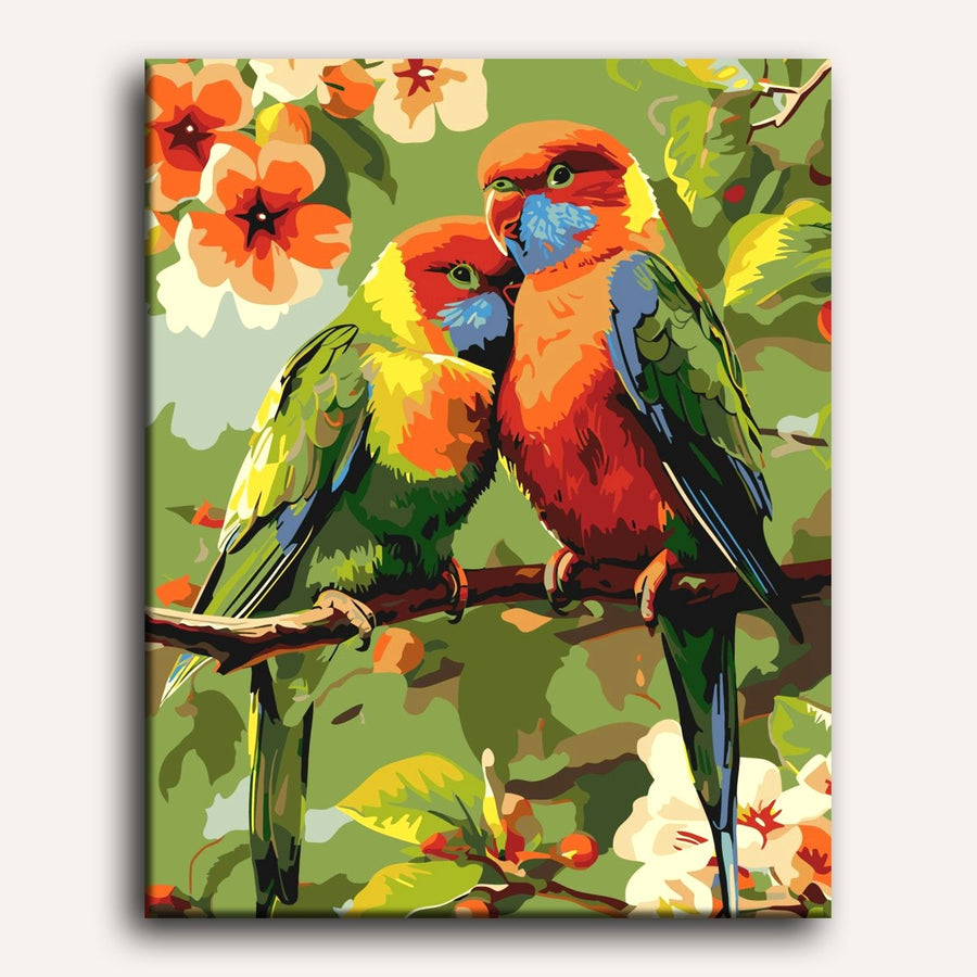 Colorful Birds Set | Paint by Numbers
