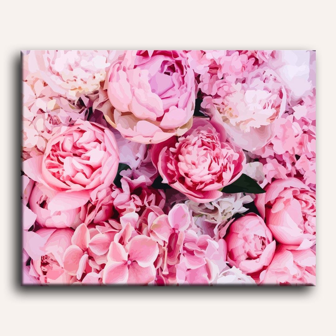 Pink Peonies | Paint by Numbers