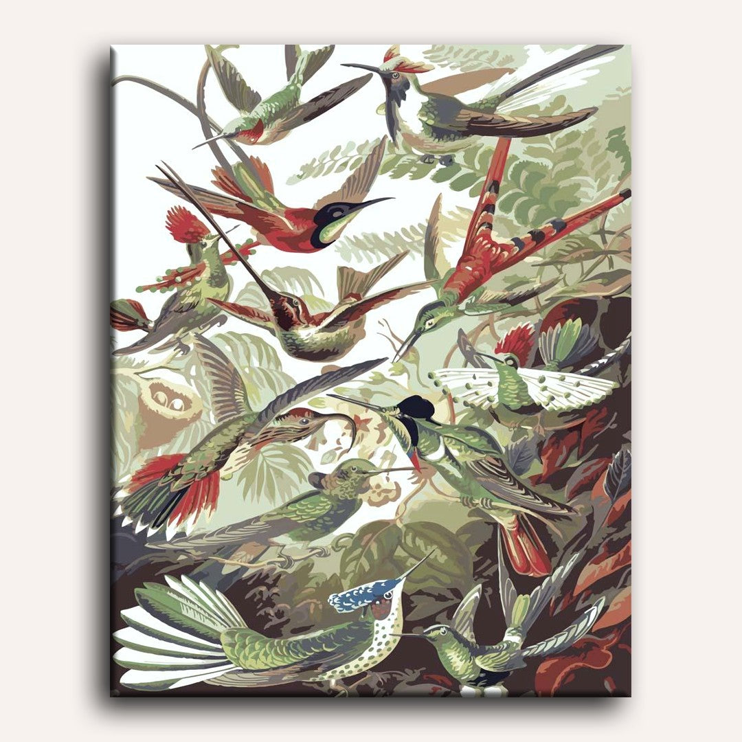 Hummingbirds Trochilidae | Paint by Numbers