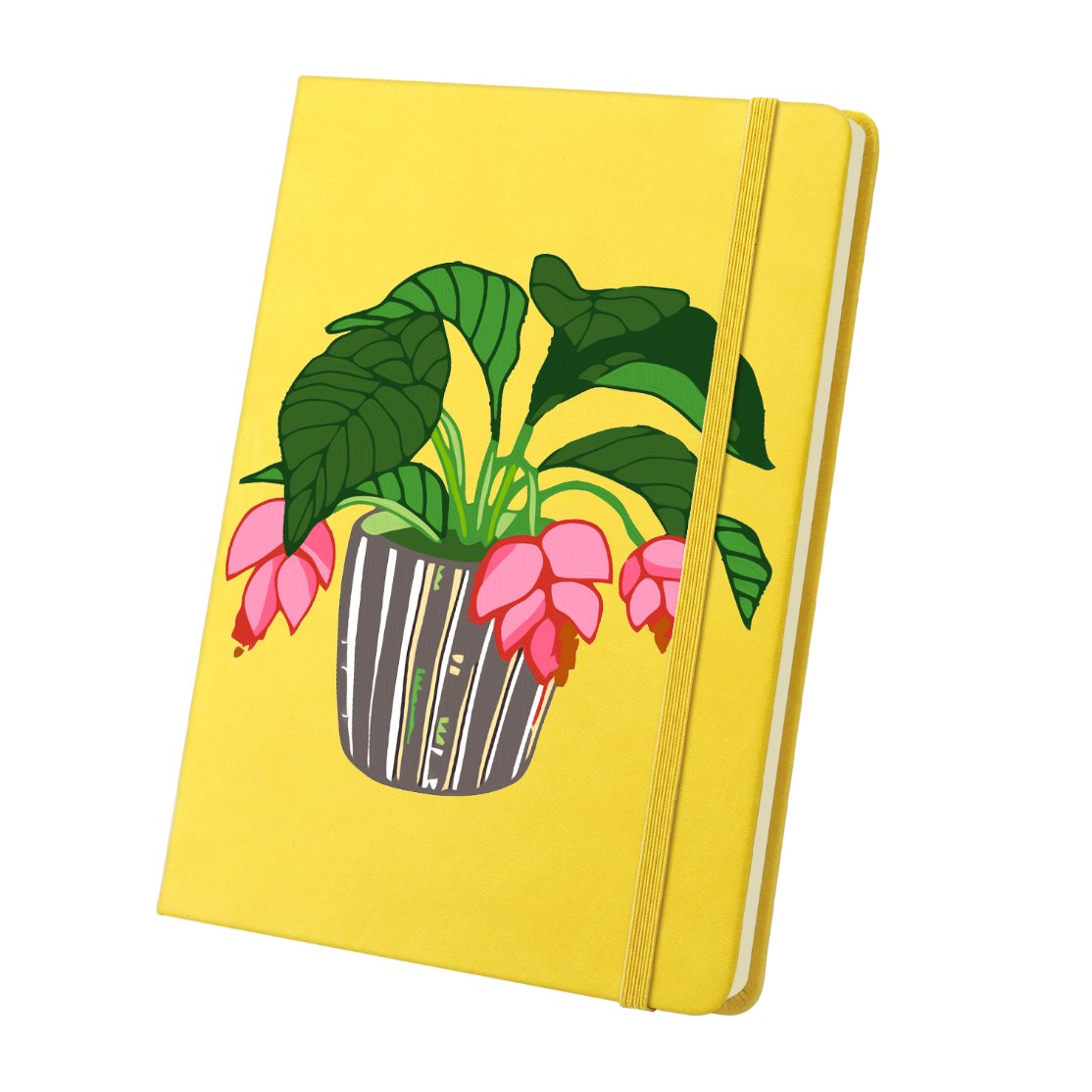 Houseplant | Paint by Numbers