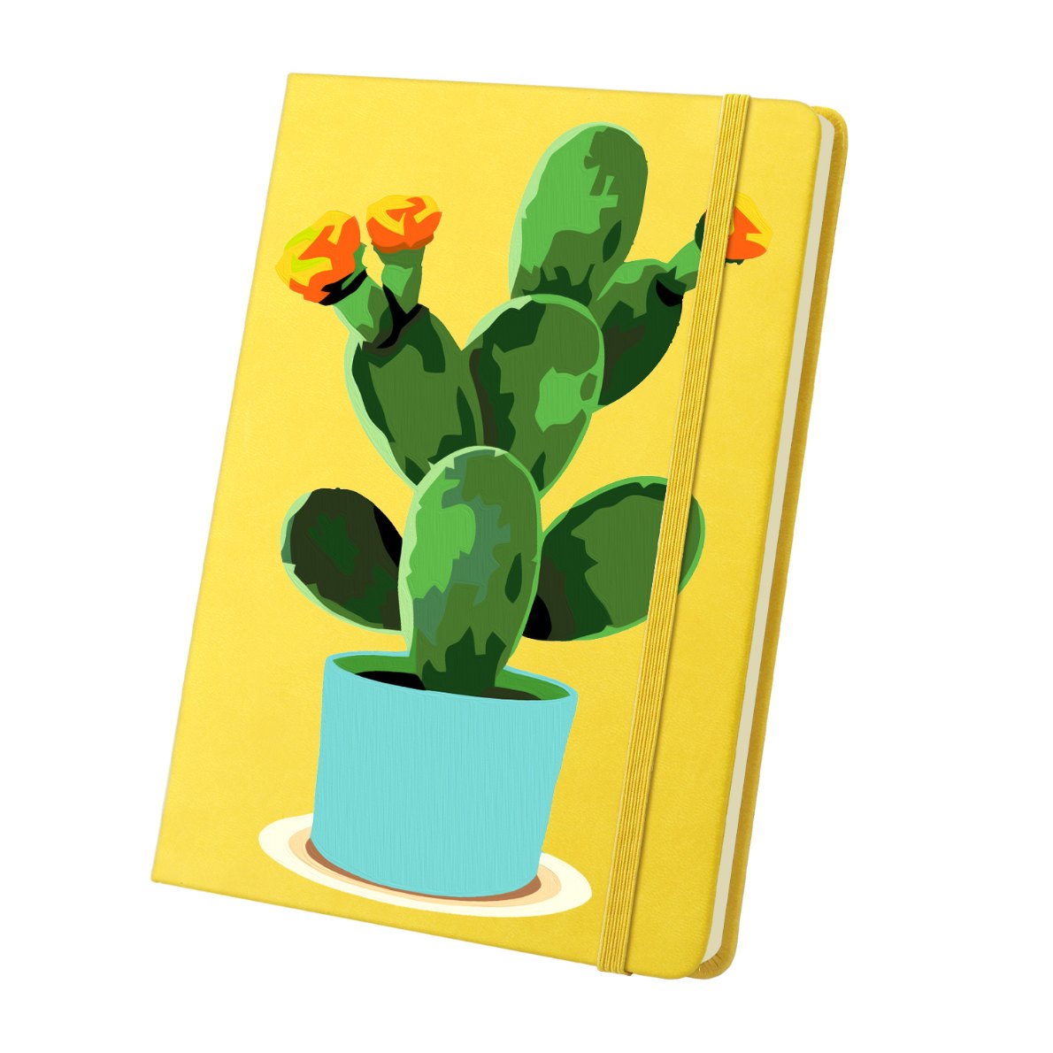 Cactus | Paint by Numbers