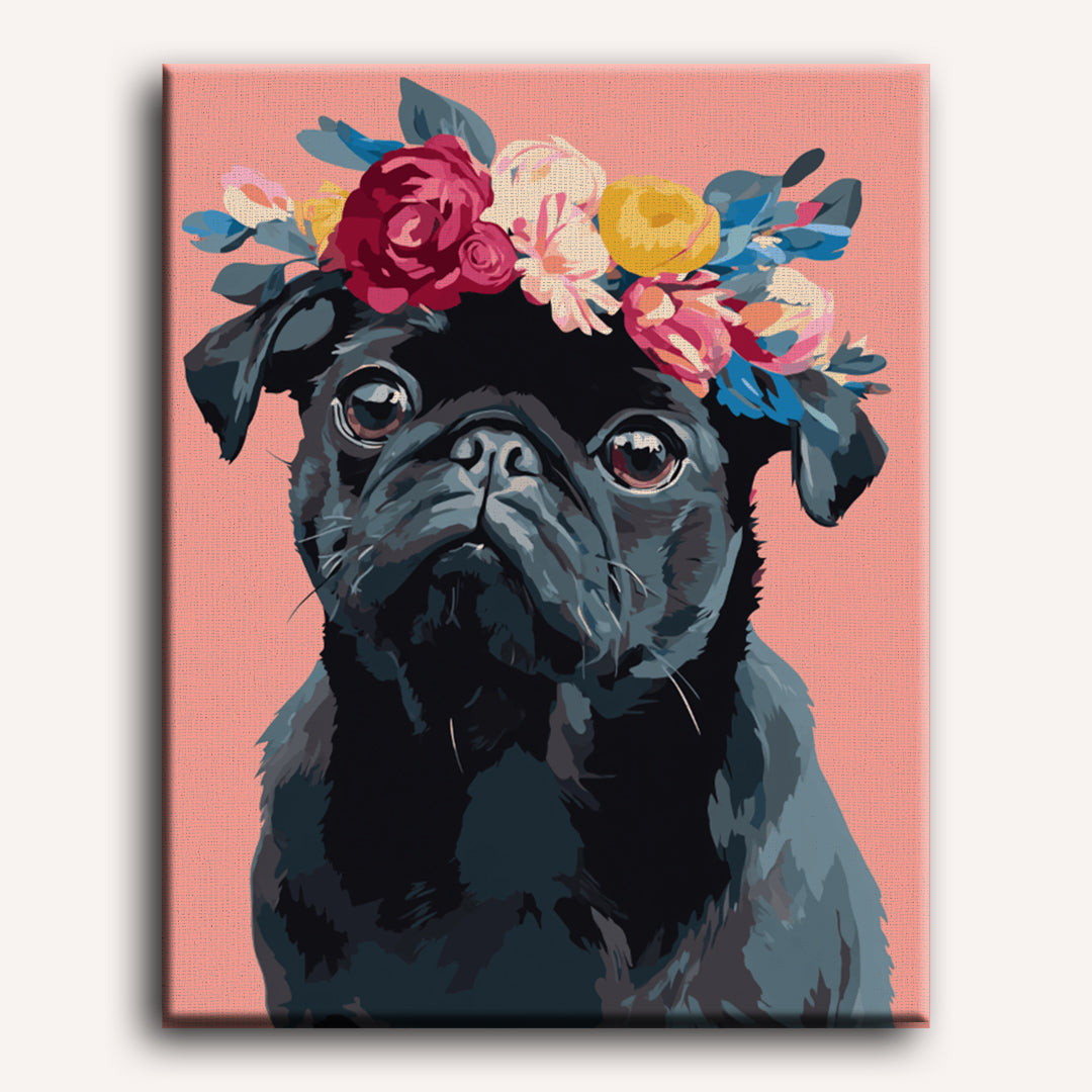 Black Pug Portrait | Paint by Numbers