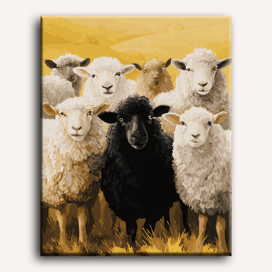 Black Sheep | Paint by Numbers
