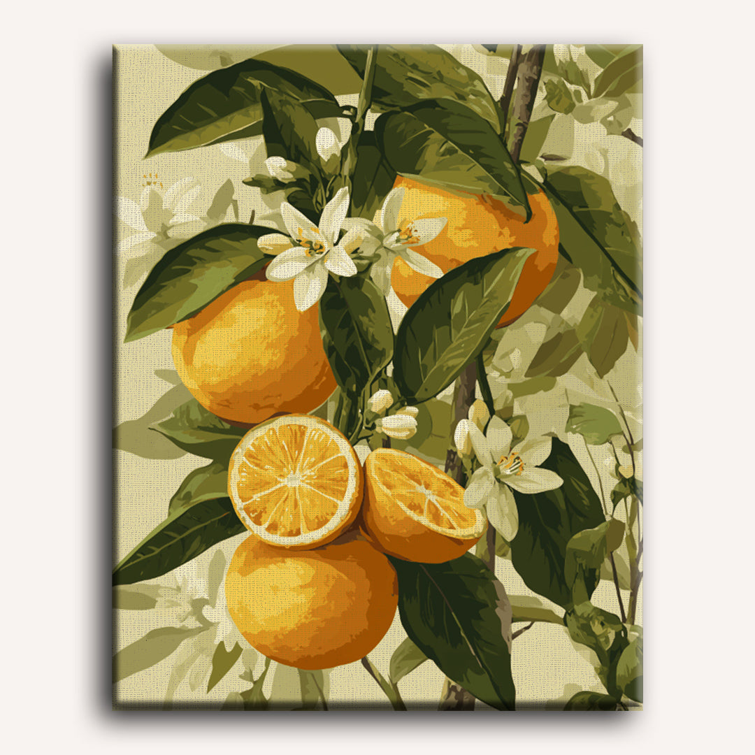 Blooming Citrus Fruits | Paint by Numbers
