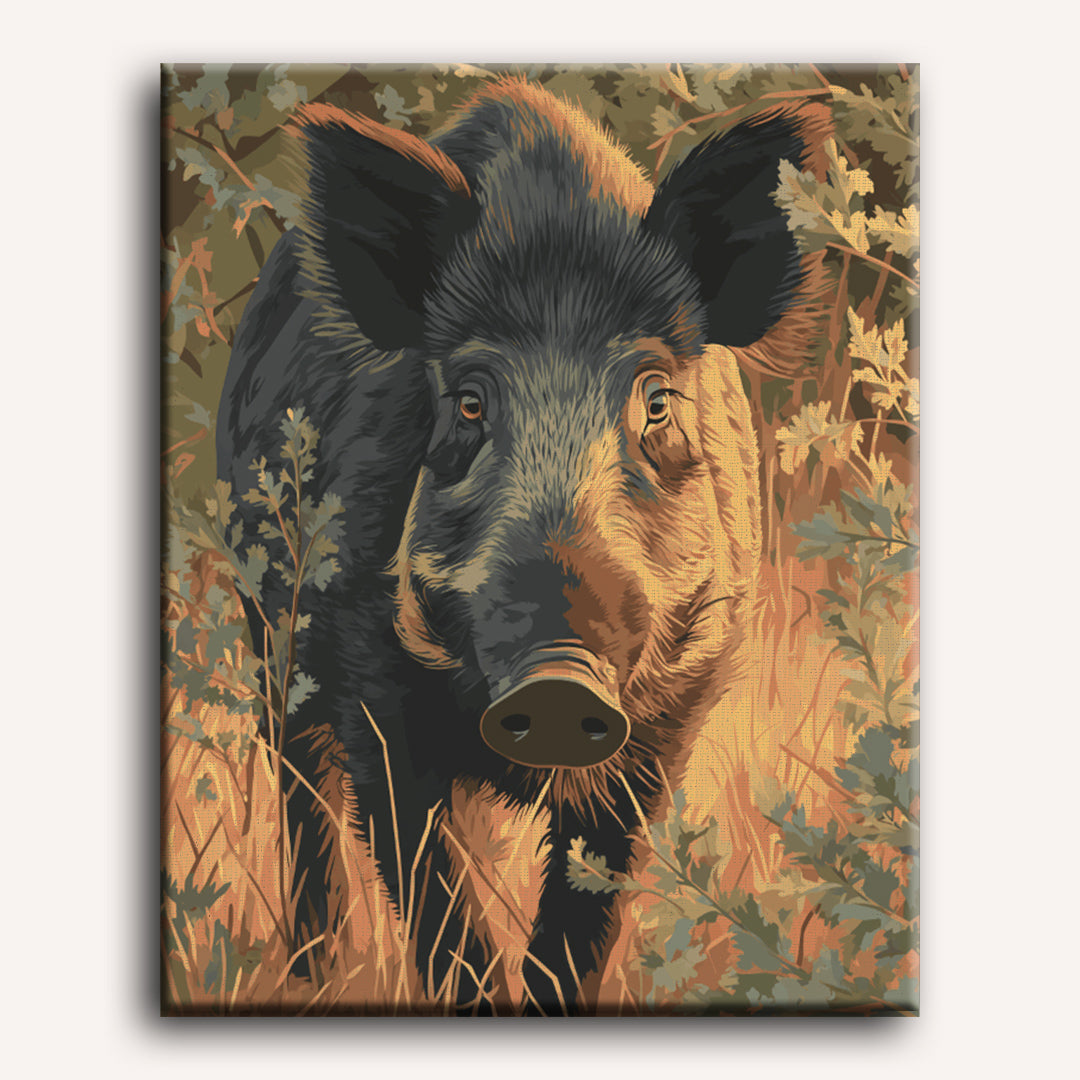 Boar in The Veluwe | Paint by Numbers