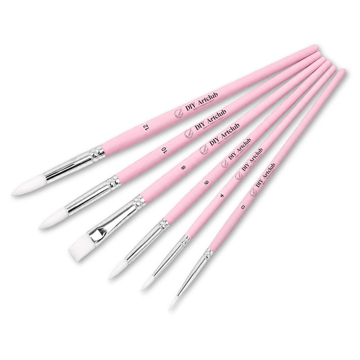6 Mini Paintings | Premium Pink Brush Set